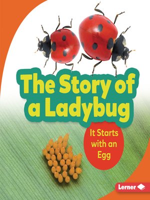 cover image of The Story of a Ladybug
